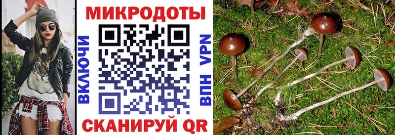 Галлюциногенные грибы Psilocybine cubensis Ефремов