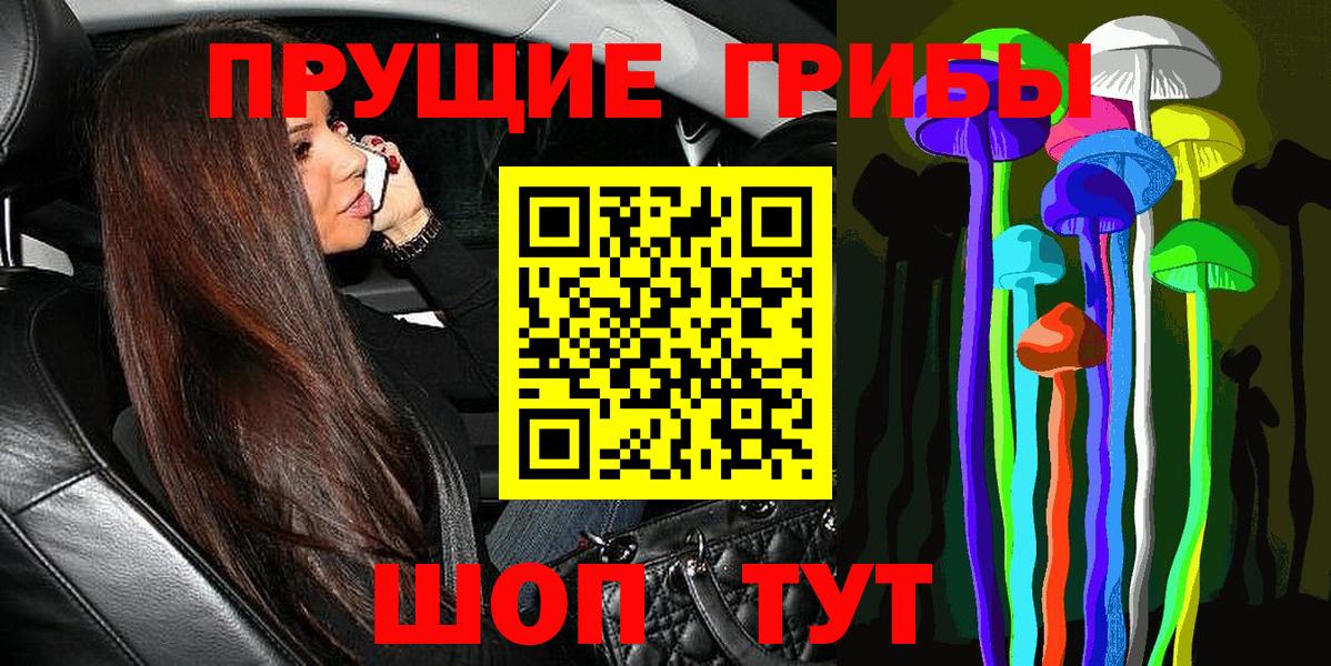 Ефремов  Галлюциногенные грибы прущие грибы  Вход с VPN 